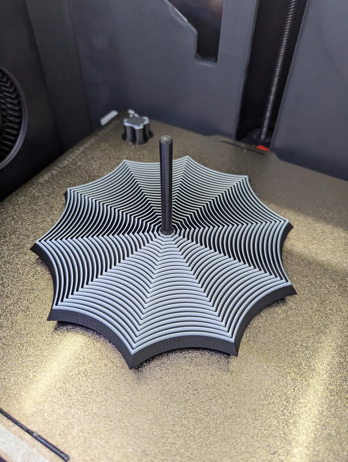 Fidget Estrela Curva