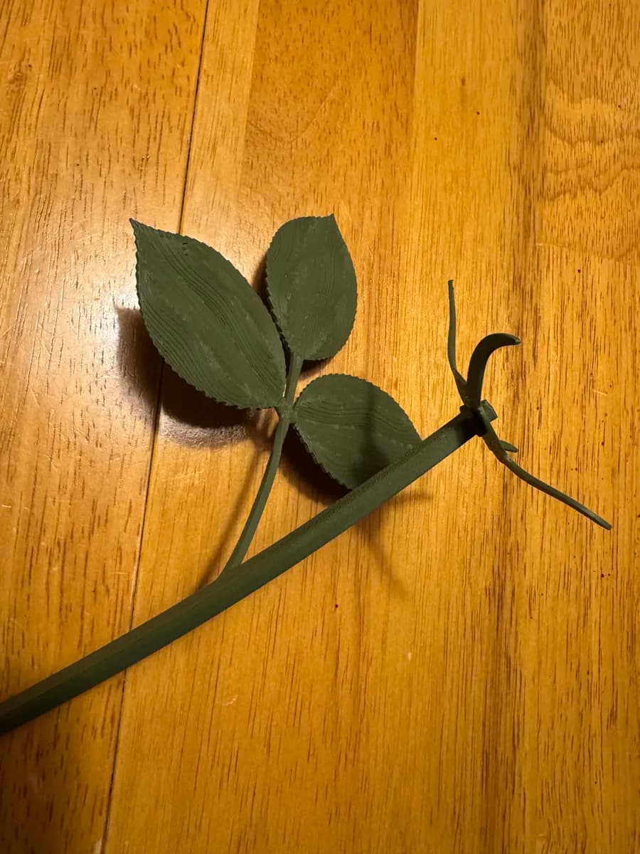Rosas com Hastes Variadas
