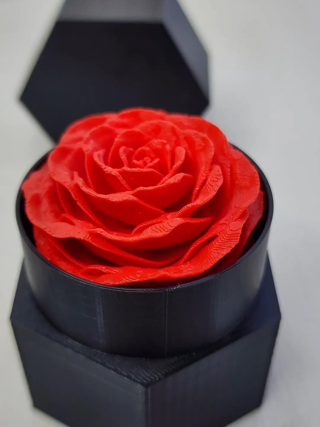 Rosa Eterna